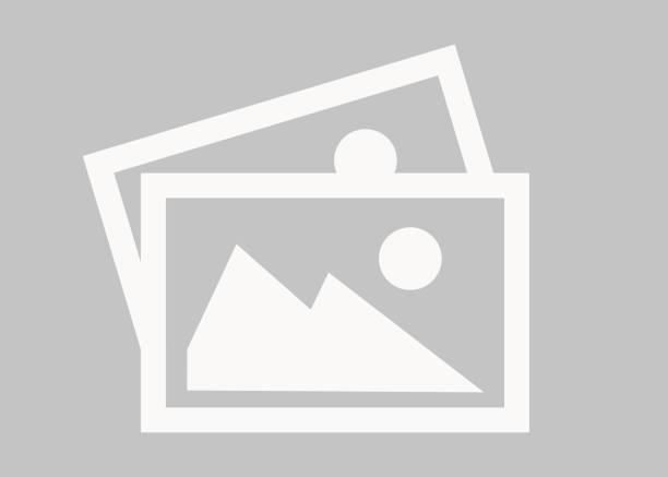 مؤتمر تربية